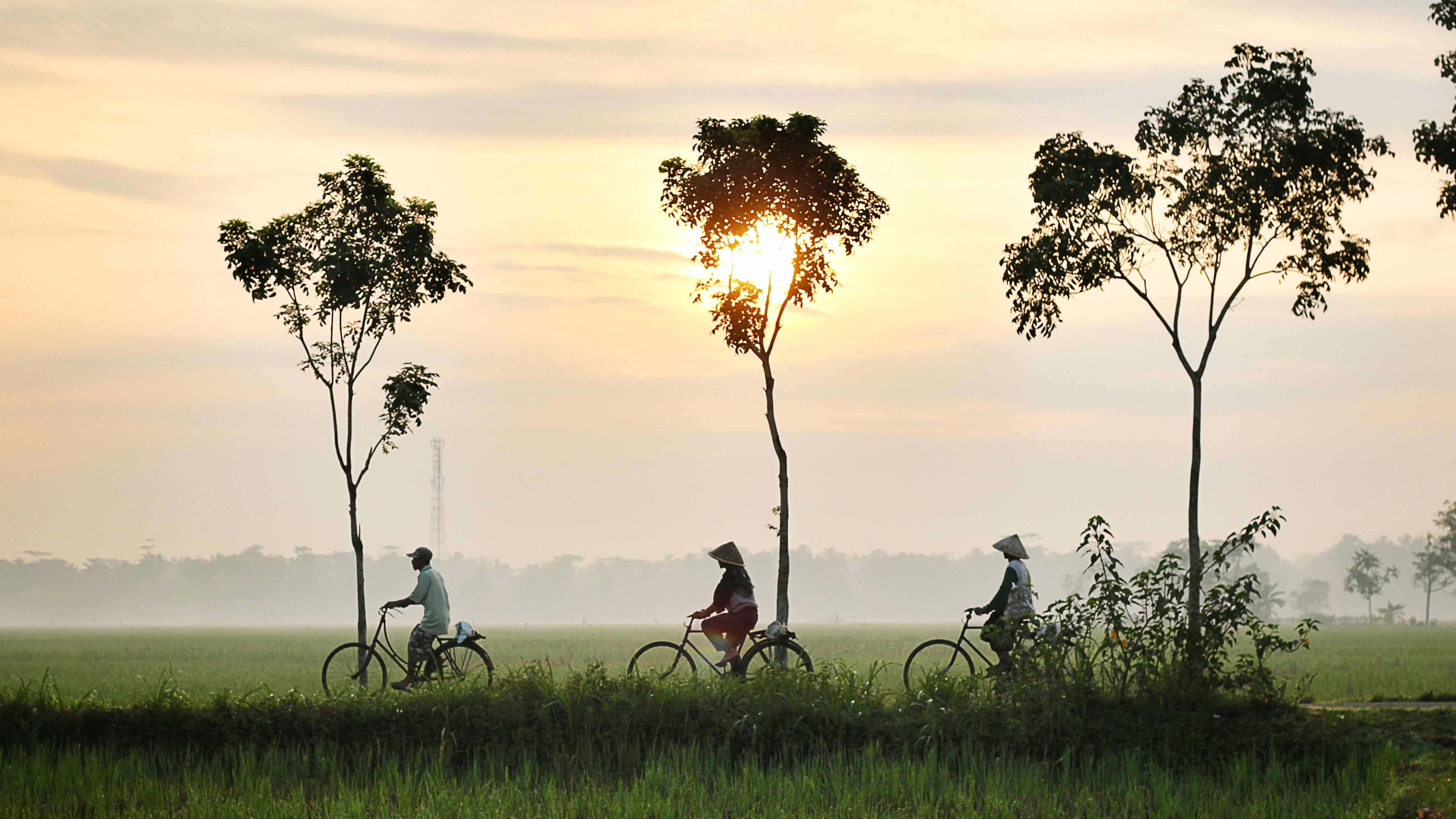 bicycle-riding-947336 | 12Hovenagenturen