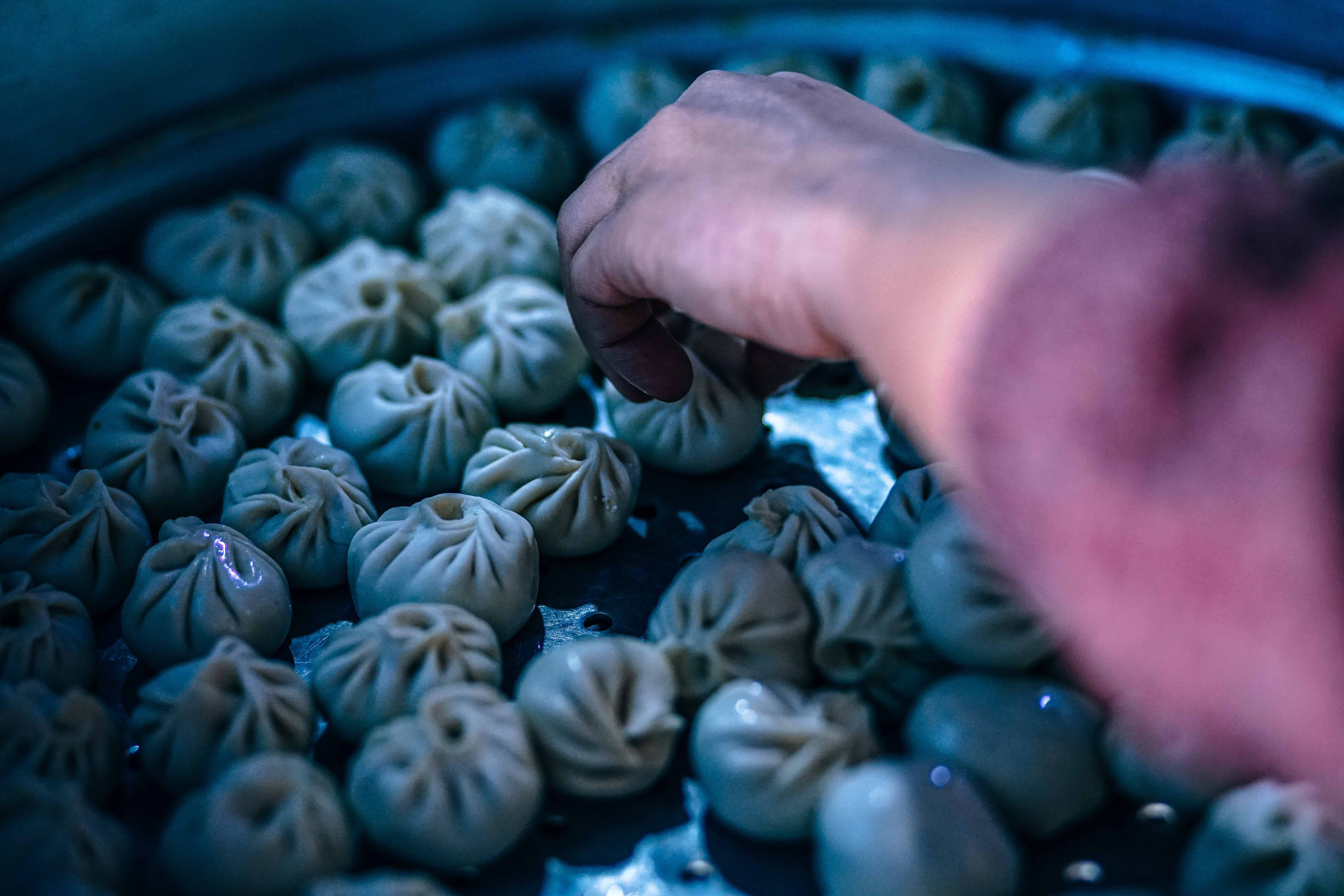 dumplings-3315963